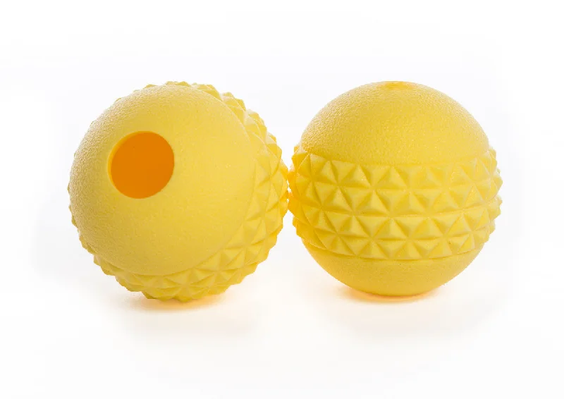 Attachment Theory Fetch Balls Dog Toys