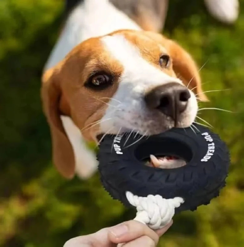 chew toys for dogs Aggressive Chewers