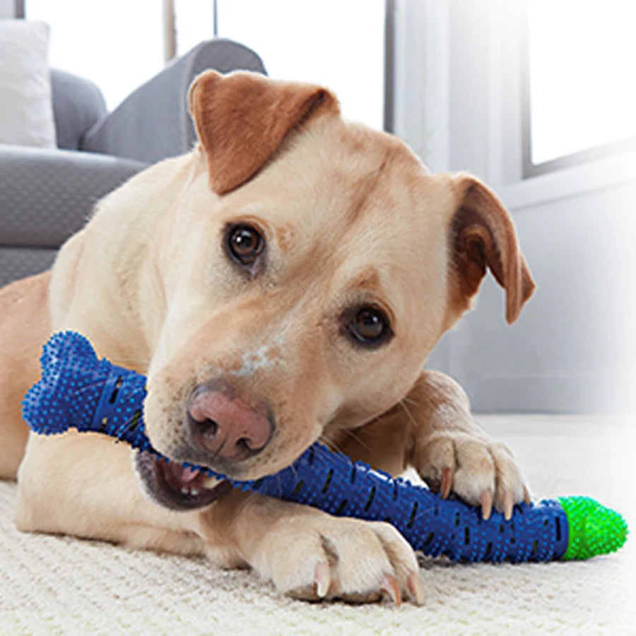 Durable Starfish Dog Toy with Sound and Teeth Cleaning