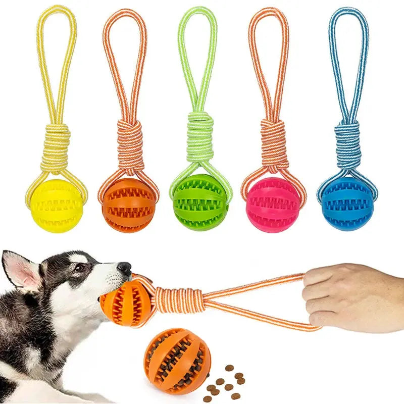 Interactive Dog Ball Toy with Rope for Training