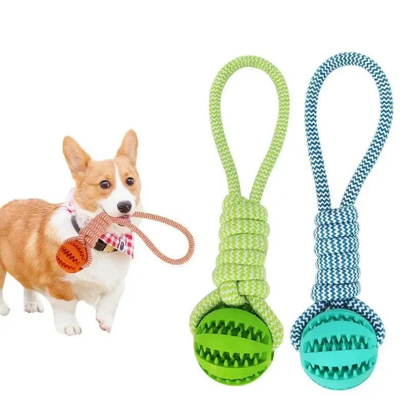 Interactive Dog Treat Ball