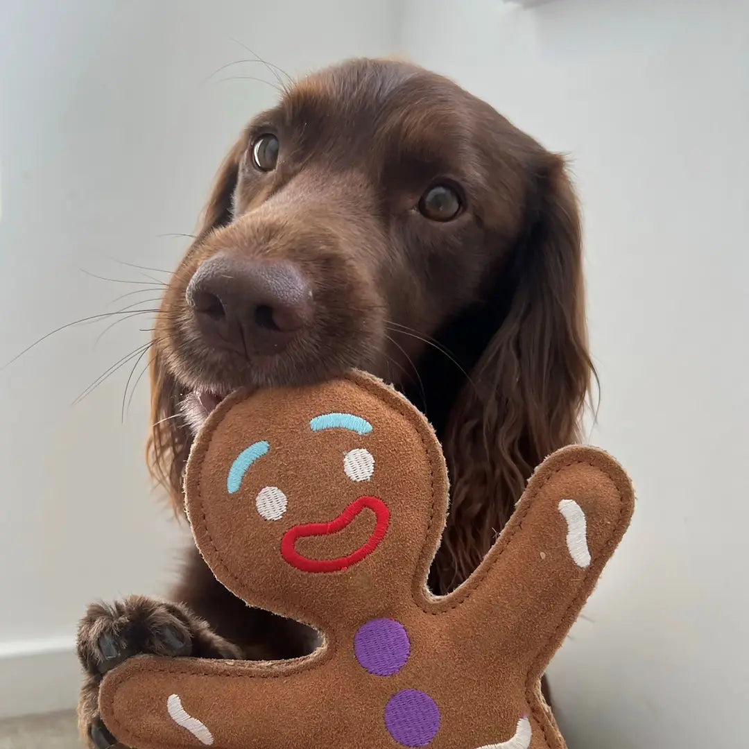 Jean Genie the Gingerbread Person, Christmas