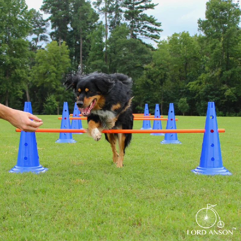 Lord Anson Trade; Dog Agility Hurdle Cone Set - Canine Agility Training Set - Obedience, Agility, and Rehabilitation - 8 Agility Cones and 4 Agility Rods