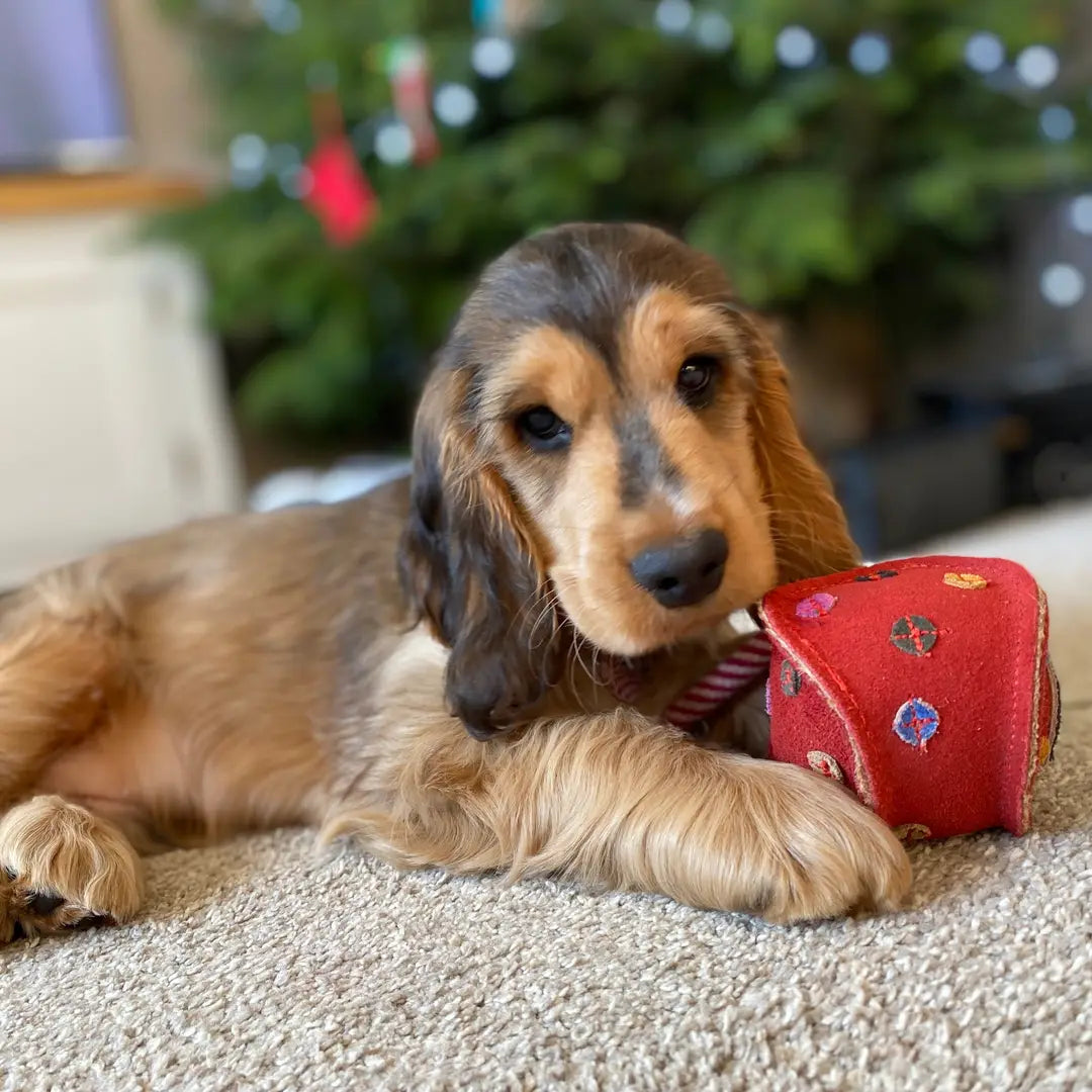 Monsieur Bauble, Eco Toy