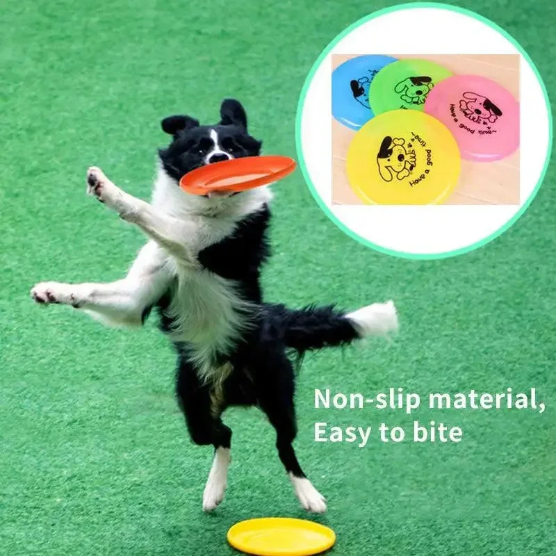 Dog Outdoor Interactive Dog Toy Frisbee