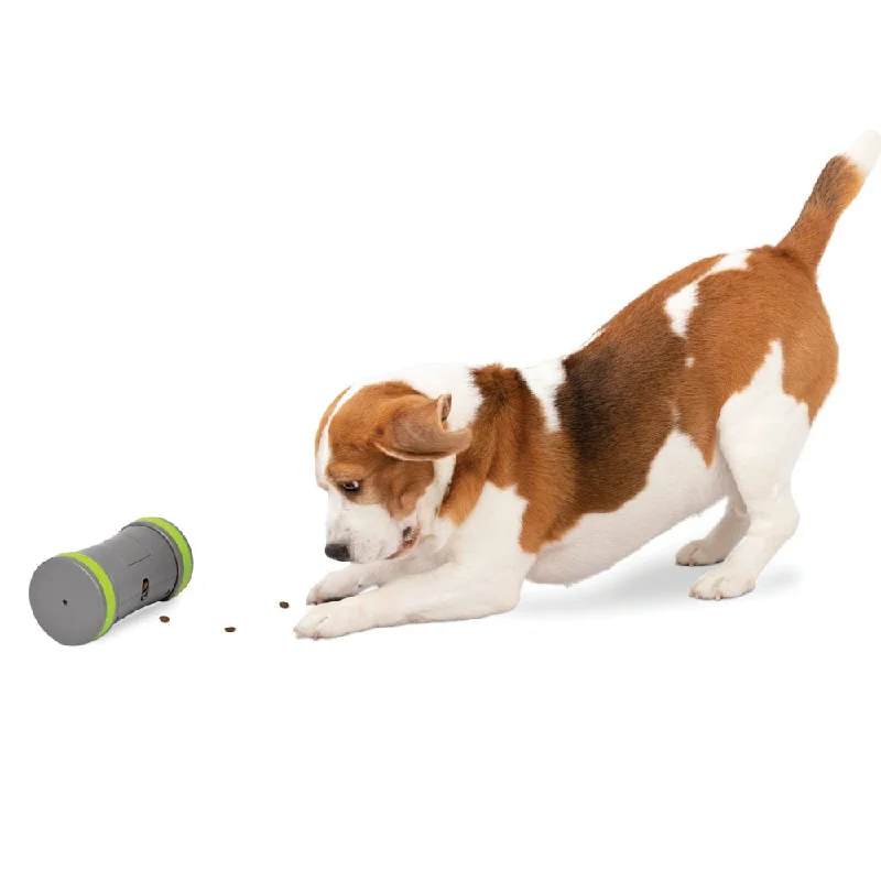 Petsafe Kibble Chase Interactive Dog Toy, Slow Feeder, Electronic Treat Dispenser