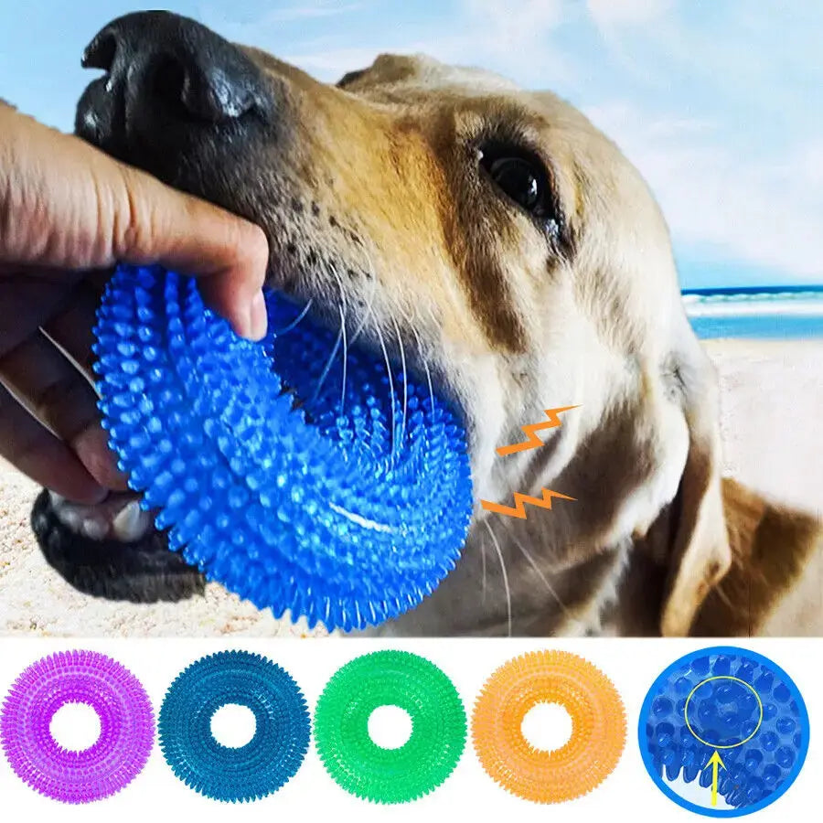 Squeaky Chew Ring for Dog Dental Health & Fun