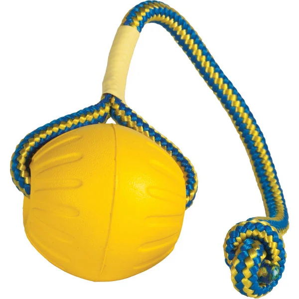 Starmark Swing and Fling Foam Ball Toy For Dogs