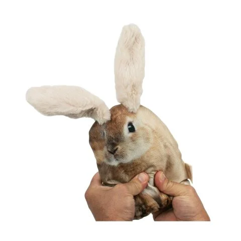 Territory Outdoor Adventure Floppy Rabbit Dog Toy