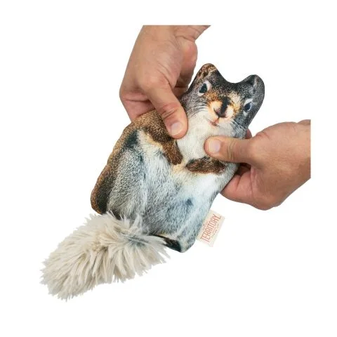 Territory Outdoor Adventure Floppy Squirrel Dog Toy