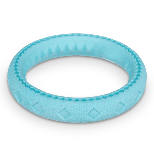 Totally Pooched Chew and Tug Ring Teal Toy for Dogs