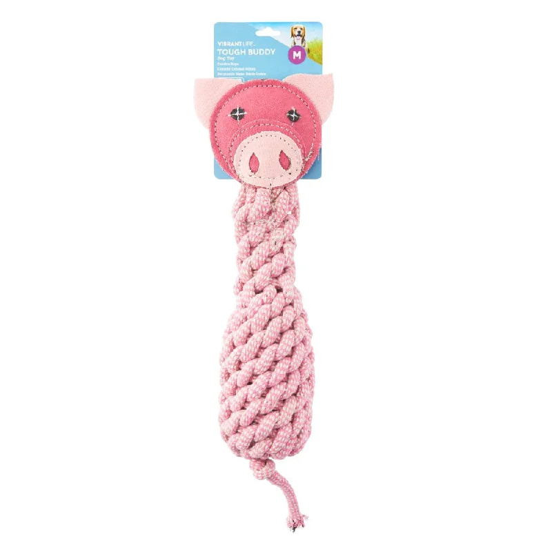 Vibrant Life Tough Buddy Rope Pig Dog Toy with Replaceable Bottle, Chew Level 3