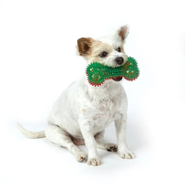 Zanies Holiday Squeaky Spike Bones