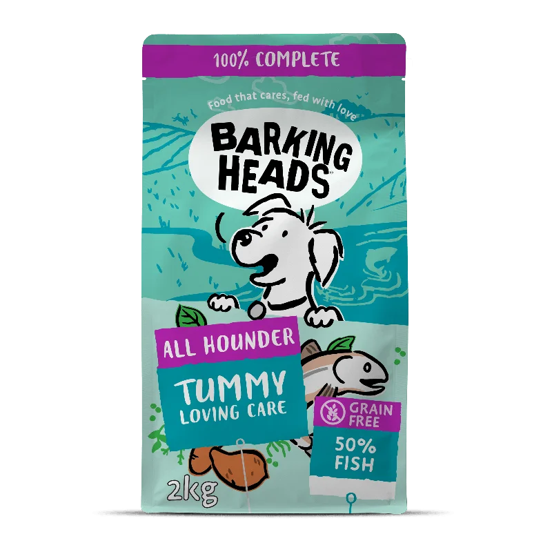 High-protein dog food with wild-caught fish for a clean protein source-Tummy Lovin' Care Fish Dry Dog Food - All Hounder