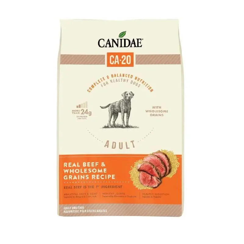 Best dog food for puppies with high protein content for growth-CANIDAE CA-20 Real Beef Recipe with Wholesome Grains Dry Dog Food