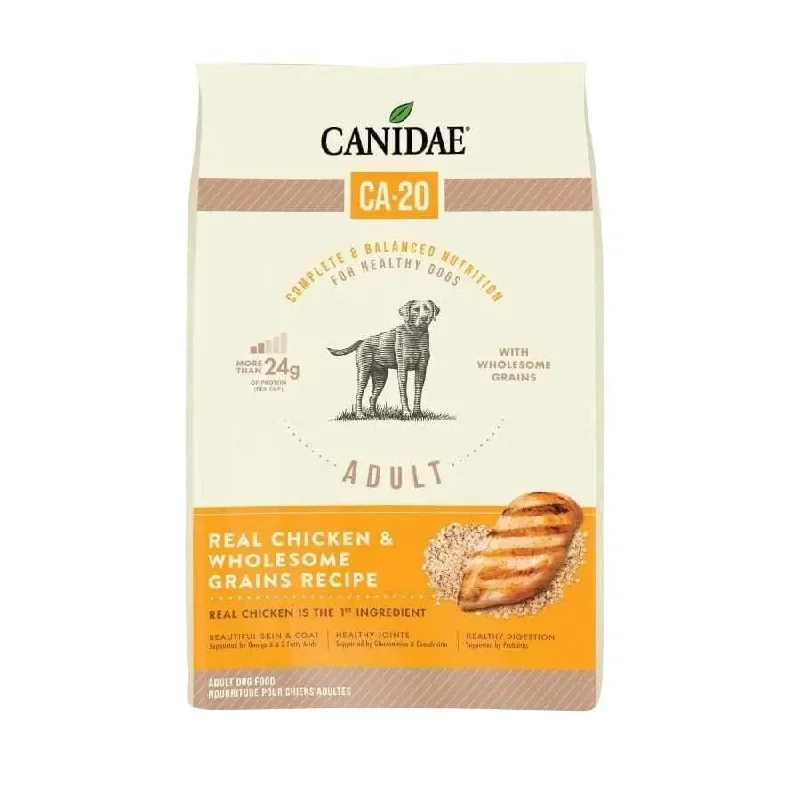 Best dog food for dogs with diabetes with low-glycemic ingredients-CANIDAE CA-20 Real Chicken Recipe with Wholesome Grains Dry Dog Food