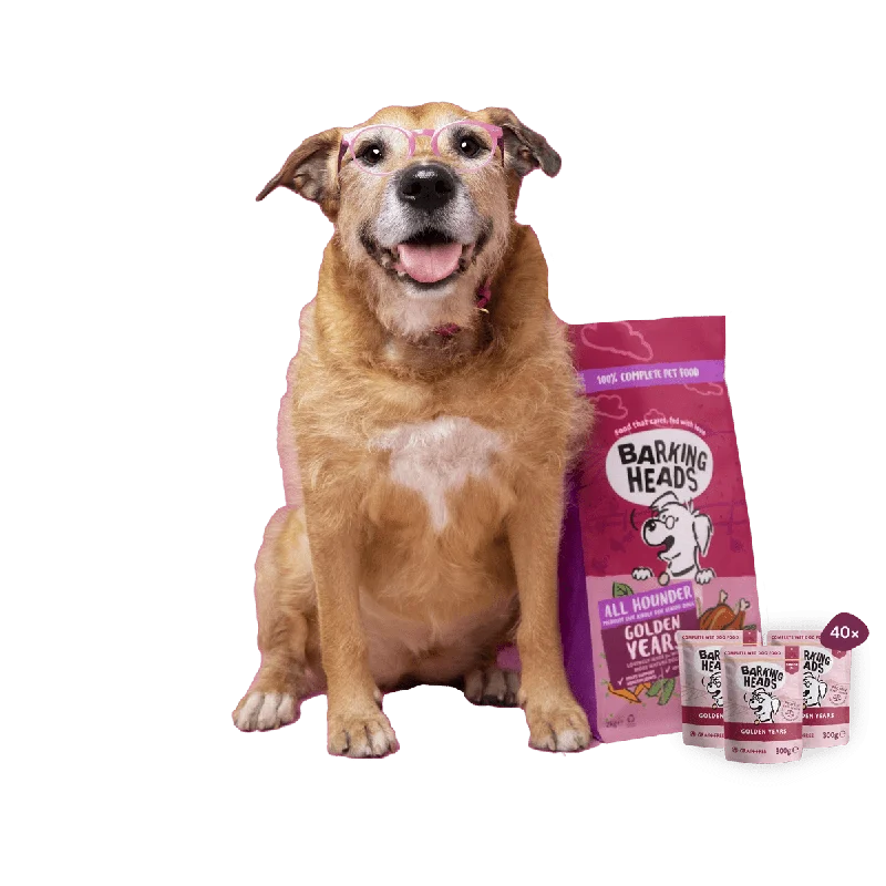 Best dog food with natural flavors for picky eaters and healthy appetites-Golden Years Pack