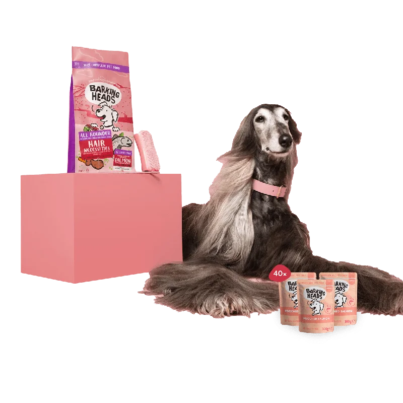 Premium dog food with freeze-dried raw pieces for added nutrients-Hair Necessities Pack