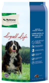 Dog food with antioxidant-rich fruits and vegetables for immune support-Nutrena Loyall Life Large Breed Adult Lamb & Rice 40LB