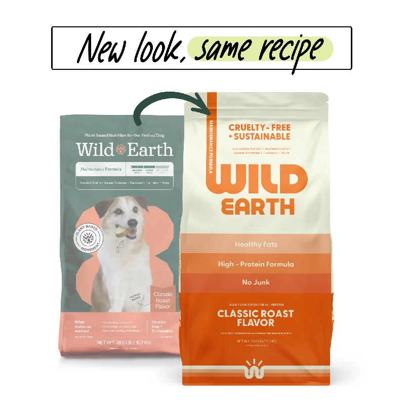 Best dog food with omega-3 and omega-6 for healthy skin and coat-Maintenance Formula Dog Food