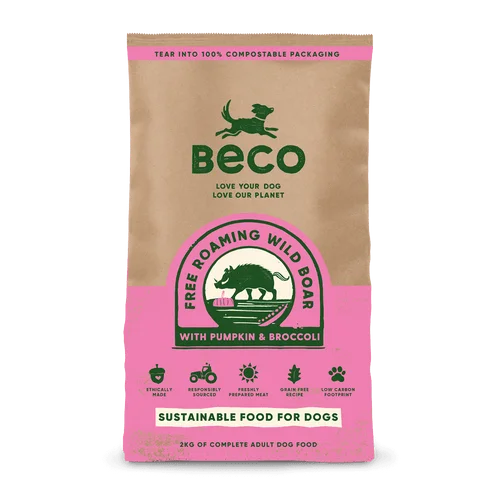 Best dog food for large breeds with joint support and balanced nutrients-Natural Dry Dog Food - Wild Boar With Pumpkin & Broccoli