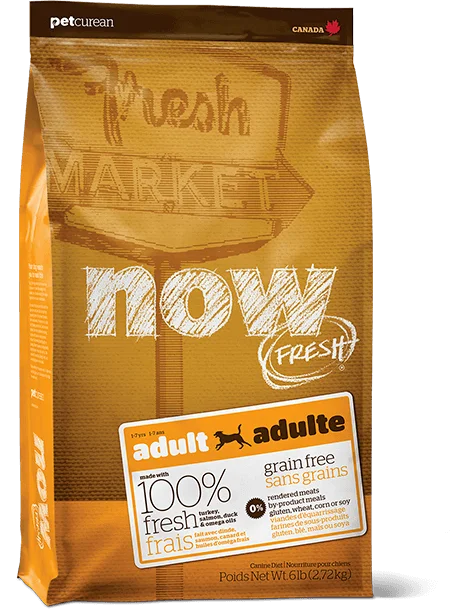 Best dog food for weight management with low-calorie and high-nutrient ingredients-Now Adult Dog Food