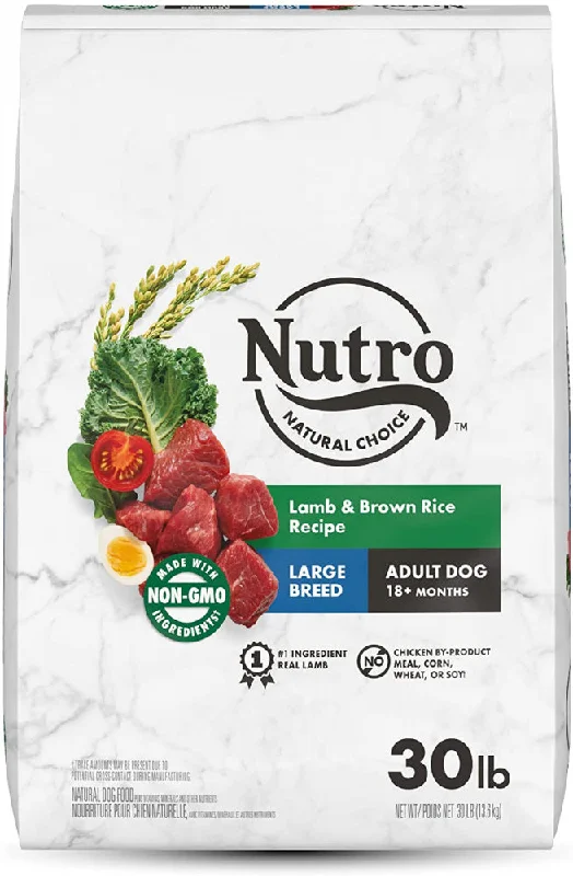 Best dog food with natural flavors for picky eaters and healthy appetites-Nutro Wholesome Essentials Large Breed Adult Pasture-Fed Lamb & Rice Dry Dog Food