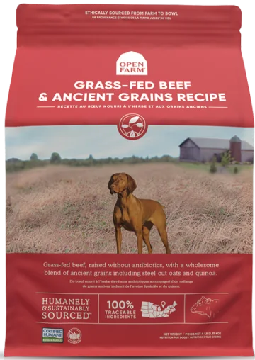 Best dog food for active dogs with high protein and energy levels-Open Farm Ancient Grains Beef