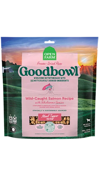 Best dog food with natural antioxidants for cellular health and longevity-Open Farm Freeze-dried Raw: Wild-Caught Salmon w/ Wholesome Grains