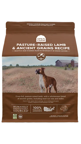 Grain-free dog food with quinoa and lentils for a nutritious, digestible meal-Open Farm Dry Dog Food: Pasture-Raised Lamb & Ancient Grains Recipe