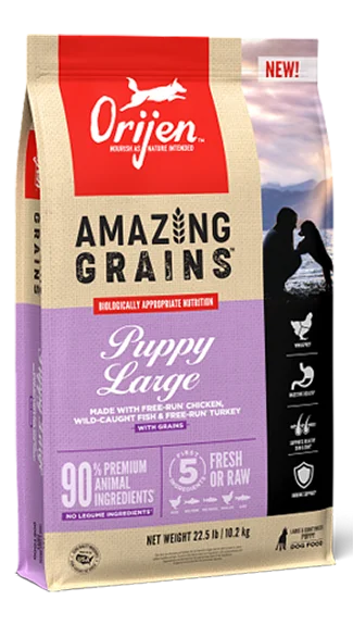 Best dog food for dogs with skin allergies to reduce itching and dryness-ORIJEN Amazing Grains: Large Breed Puppy Recipe