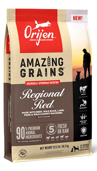 High-protein dog food with wild-caught fish for a clean protein source-ORIJEN Amazing Grains: Regional Red Recipe