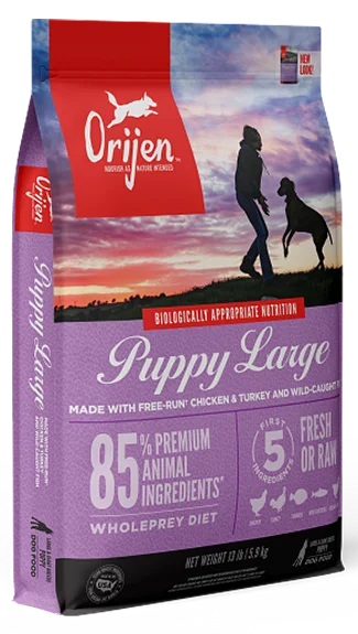 Dog food with pumpkin and carrots for improved digestion and overall health-ORIJEN Dry Food: Puppy Large Breed Recipe