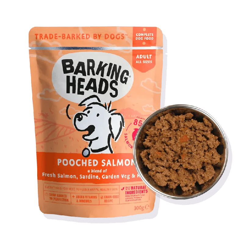 Best dog food for small breeds with small-sized kibble for easy chewing-Pooched Salmon Wet Dog Food