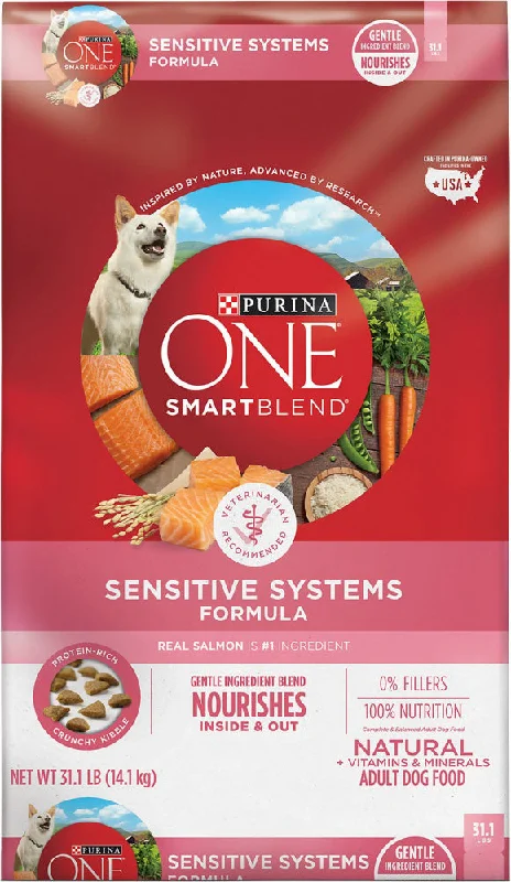 Best dog food with omega-3 and omega-6 for healthy skin and coat-Purina ONE SmartBlend Sensitive Stomach Dry Dog Food