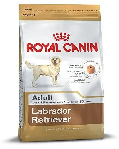 High-fiber dog food with chicory root for better digestion and gut health-Royal Canin Breed Health Nutrition Labrador Adult Dog Food, 12 kg