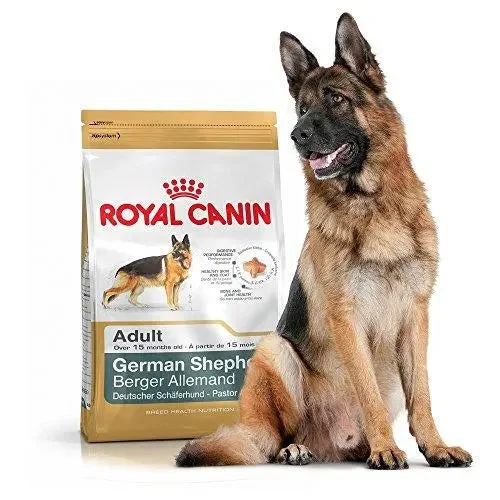 Premium dog food with omega-6 fatty acids for healthy skin and fur-Royal Canin breed health nutriton German Shepherd 12kg Adult Dog Food