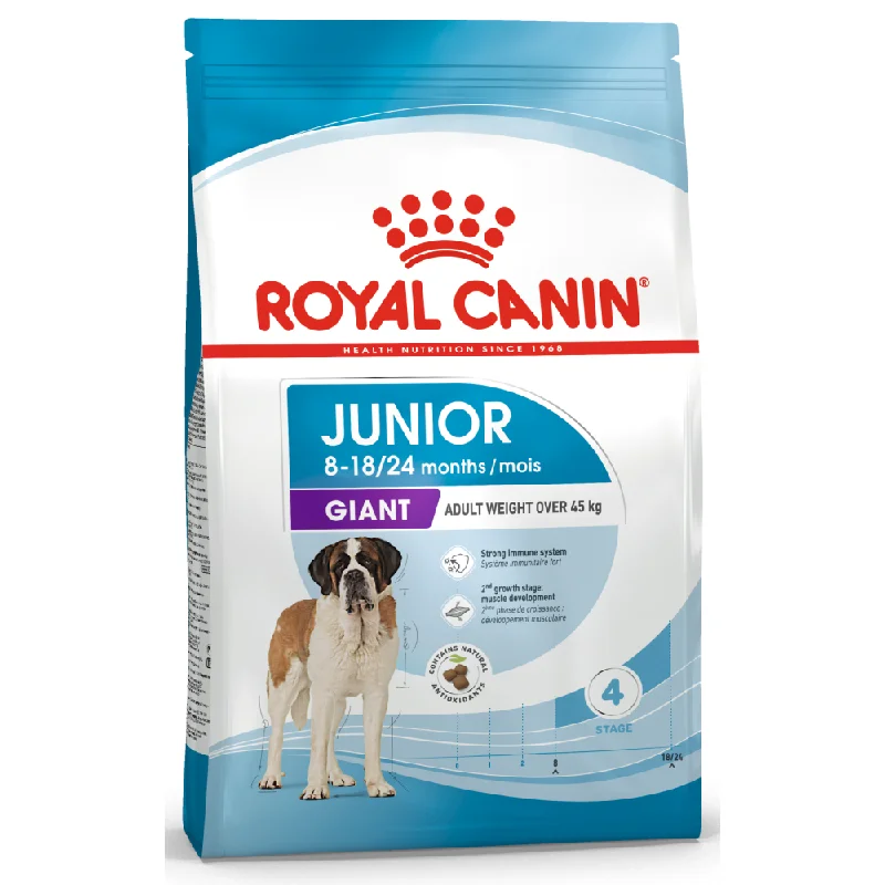 Best dog food for sensitive stomachs with easily digestible ingredients-Royal Canin Giant Junior Dog Dry Food