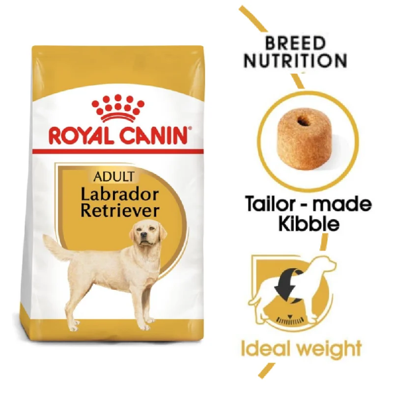 Best dog food with added vitamins and minerals for overall health support-Royal Canin Labrador Retriever Adult Dog Dry Food