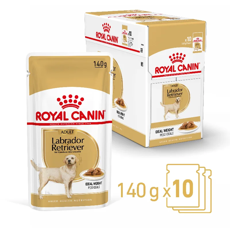 High-protein dog food with wild-caught fish for a clean protein source-Royal Canin Labrador Retriever