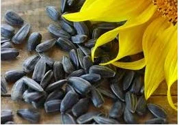 Grain-free dog food with pork for a novel protein and allergy-friendly option-Nature's Mix Black Oil Sunflower Seeds