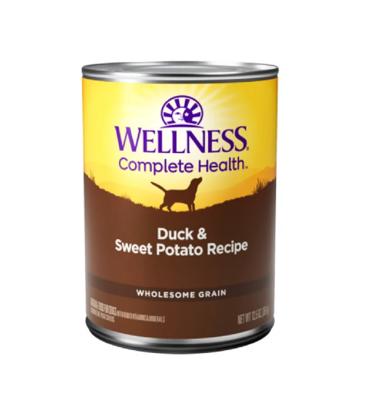 Best dog food for dogs with stomach sensitivity with limited ingredients-Wellness Complete Health Natural Duck and Sweet Potato Recipe Wet Canned Dog Food