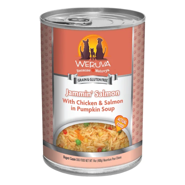 Wet dog food with real meat for a flavorful and hydrating option-Weruva Jammin' Salmon with Chicken & Salmon in Pumpkin Soup Canned Dog Food